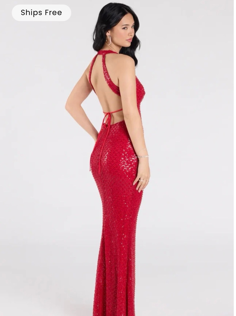 🔥NWT Windsor formal dress - Picture 3 of 5
